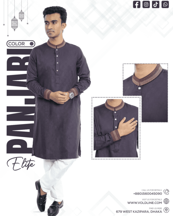 Punjabi-China Designed  Premium Embroidery- code- (SW-M22)